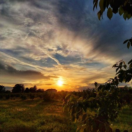 La Fattoria Del Soul Hotel Bosco Marengo Kültér fotó
