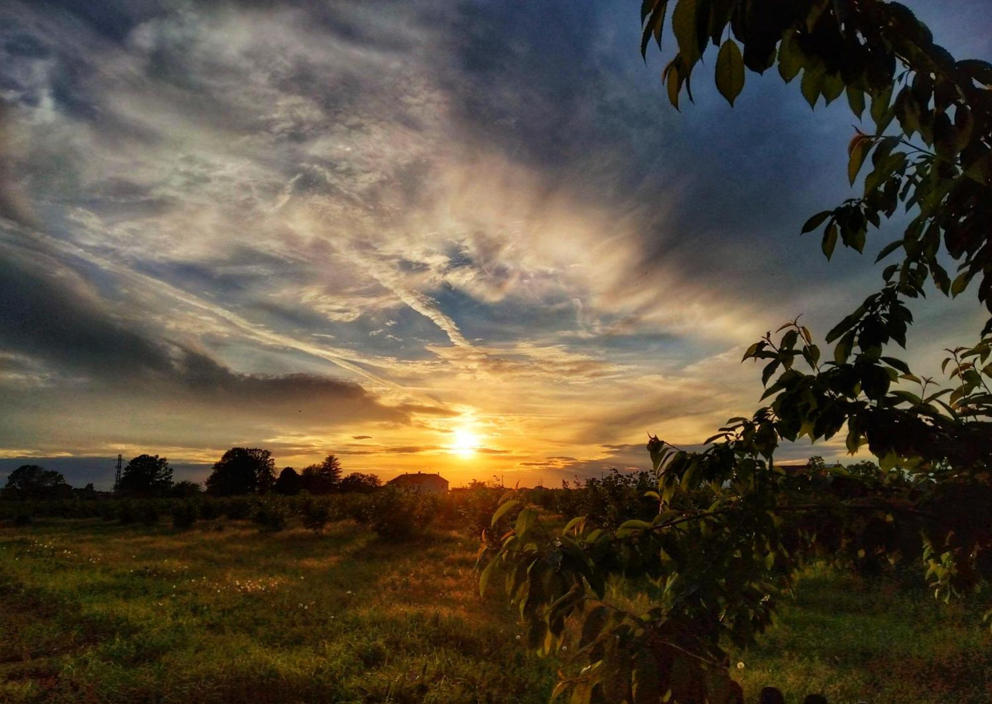 La Fattoria Del Soul Hotel Bosco Marengo Kültér fotó